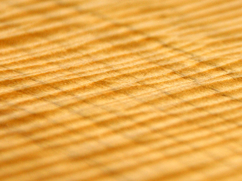 さくらトレイ（こだち）